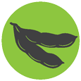 soybean_symbol.png